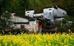 樓房房頂滲水怎么處理？這些方法你一定得知道